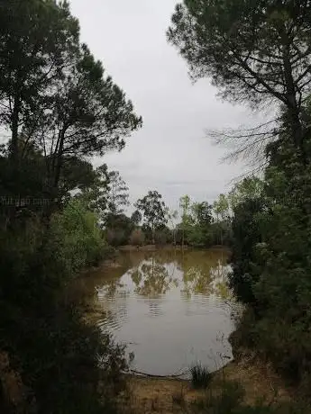 Photo de Bassa d'en Botó