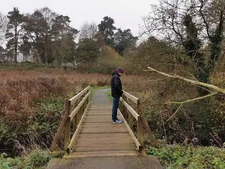 Photo de Toll's Meadow