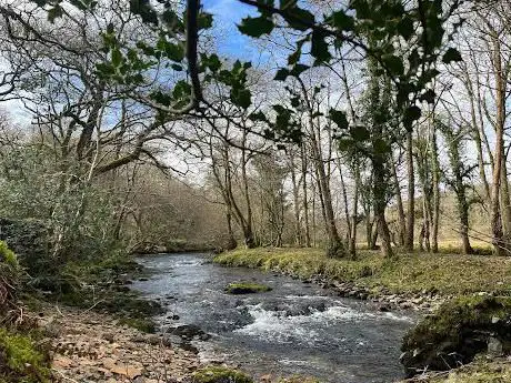 The River Tavy Tavistock Devon