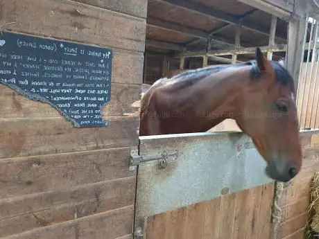 Pastures New (Lane Foot Petting Farm)