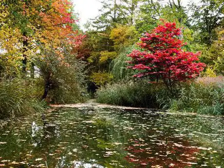 Heemtuin 