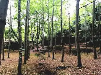 Photo de Font de l'Escudella