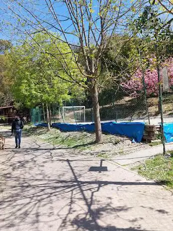 Photo de Parco delle Fontanine