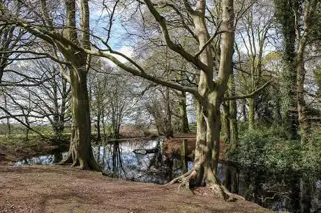 Photo de Sandfield Natural Play Centre