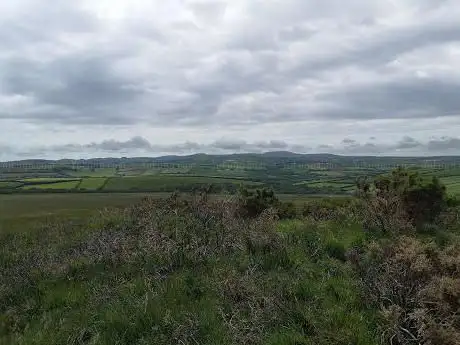 Rosenannon Downs