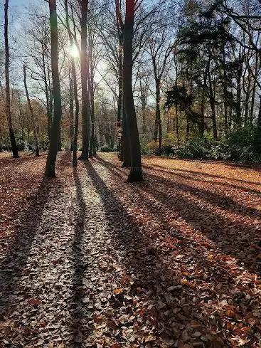 Landgoed Spanderswoud