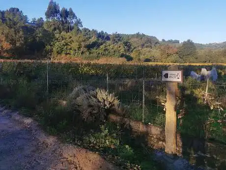 Ribeiras do Avia