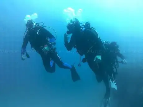 Photo de Sub murena DIVING