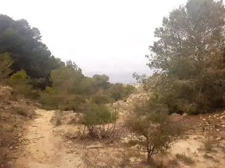 Photo de El Jaumot