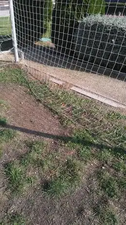 Photo de Campo de Fútbol