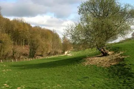 Photo de Koeheide