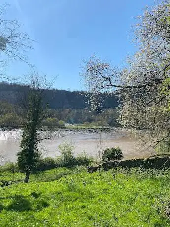 Photo de Lancaut Nature Reserve