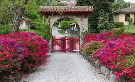 Photo de Intragnola Gardens