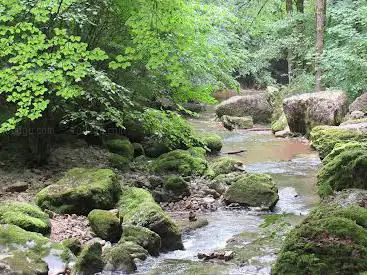 Photo de Cascade de La Tuffière