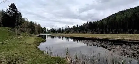 Area attrezzata picnic pian di gembro