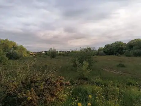 Photo de Balloo Wetland