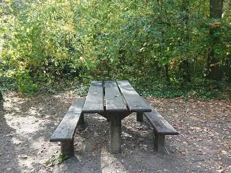 Forêt départementale du Bois Chauveaux