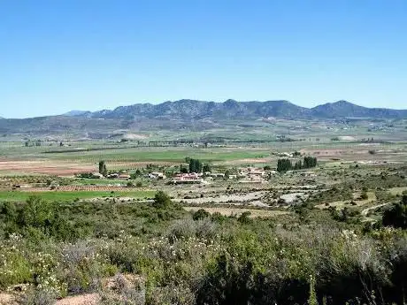 Photo de Encina Centenaria del Bajil