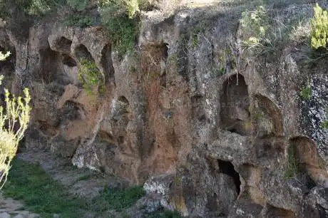 Photo de Tagliata Fantibassi