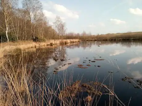 Photo de Danes Moss Nature Reserve