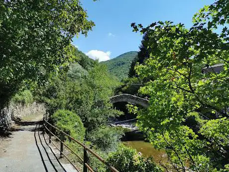 Ponte di San Carlo