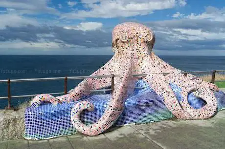 Pieuvre