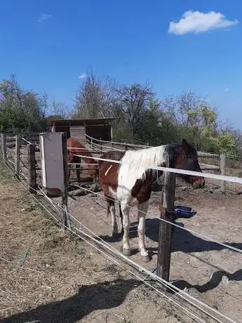Photo de Amazing Grace Ranch