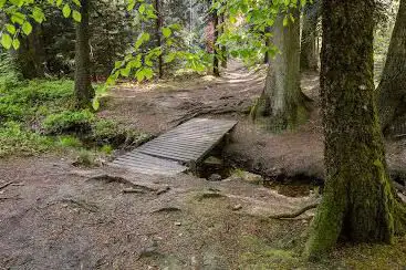 Photo de Arboretum van Spa Tahanfagne