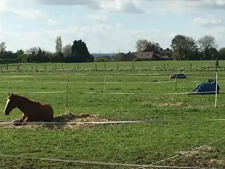 Photo de Fountain Hill Equestrian