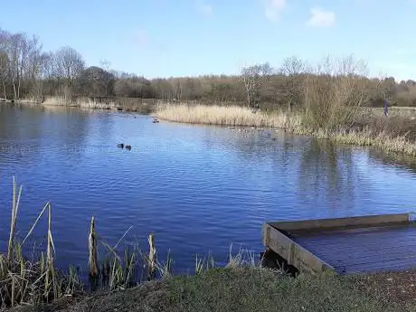 Photo de Brierley Forest Park