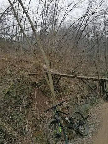 Photo de Mark MTB