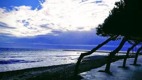 Beach Pineda