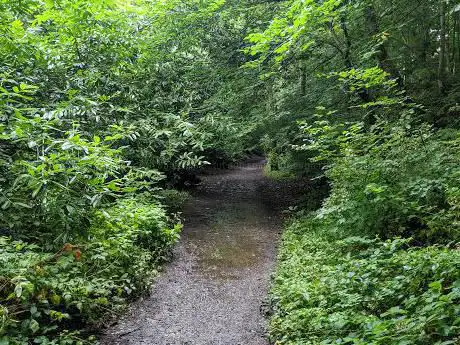 Photo de Huntly Wood