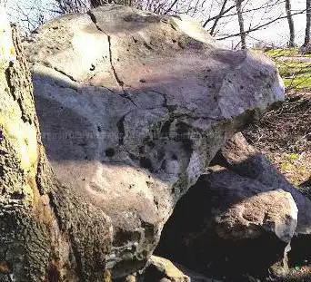Photo de Dolmen à couloir : La Table des Fées