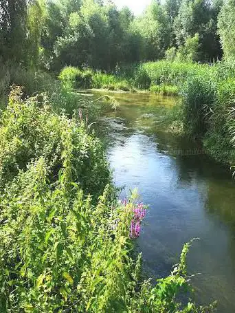 Espace naturel du Breuil