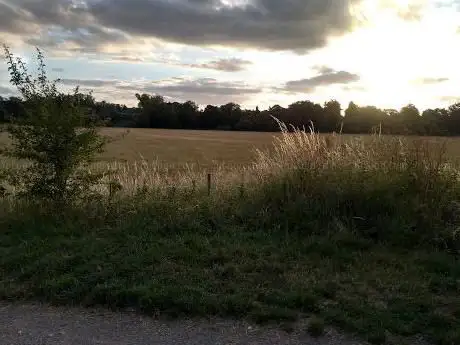Photo de Hunsdon Mead Nature Reserve