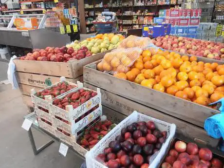FALCĂ?N AGROALIMENTARIA S.L.