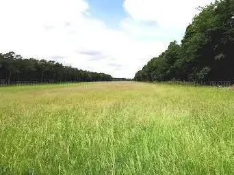 Kranichwoog Hütschenhausen