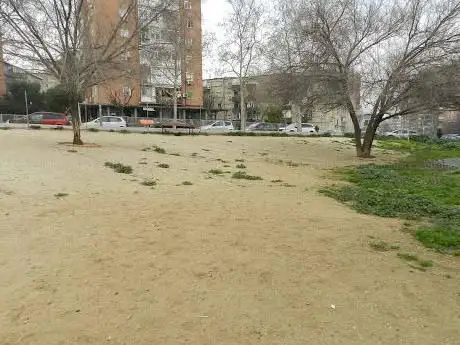 Photo de para perros