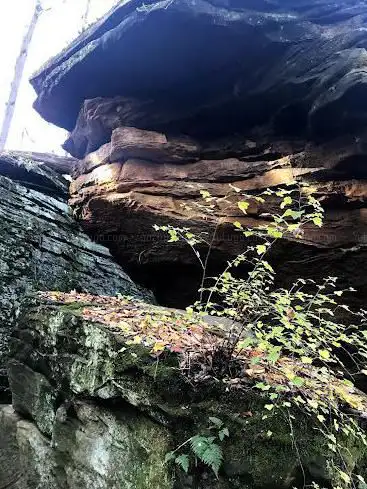 Photo de Cleveland Metroparks Hinckley Reservation