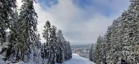 Photo de Skigebiet Schwarzer Mann