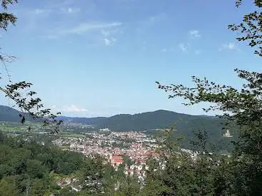 Aussichtsplattform - Baumkronenweg Waldkirch