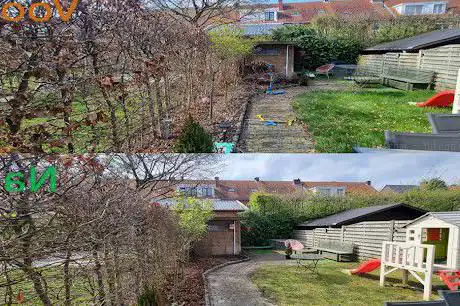 Photo de ALTINDIS - Tuinonderhoud/Aanleg