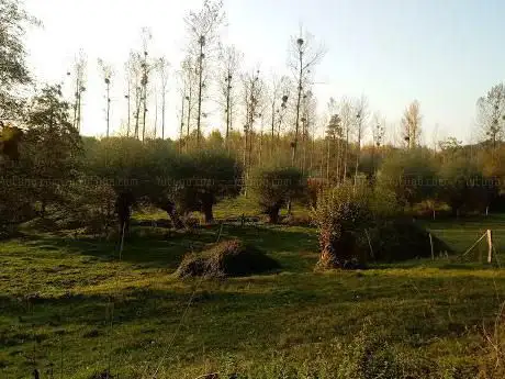 Photo de Natuurgebied Eggertingen