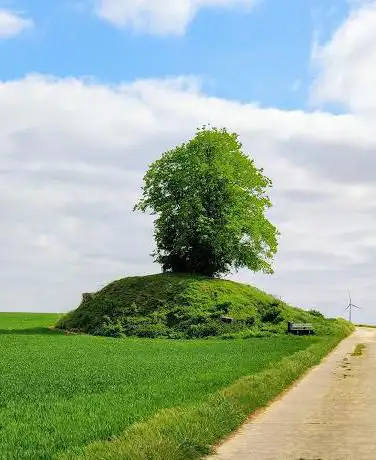 Tumulus Bortombe