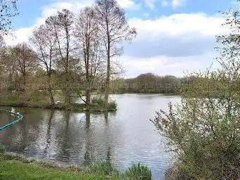 Photo de Réaux Woods