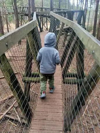 Photo de Tree top trail
