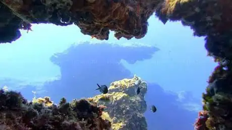 Élite Diving Agency - Sardinia