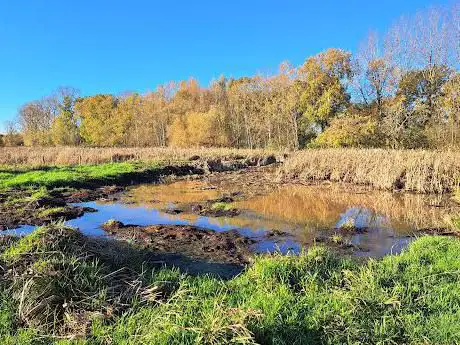 Photo de Het vijverbroek