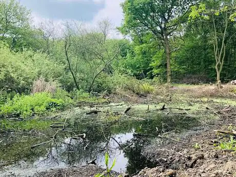 Photo de Thrift Wood Nature Reserve